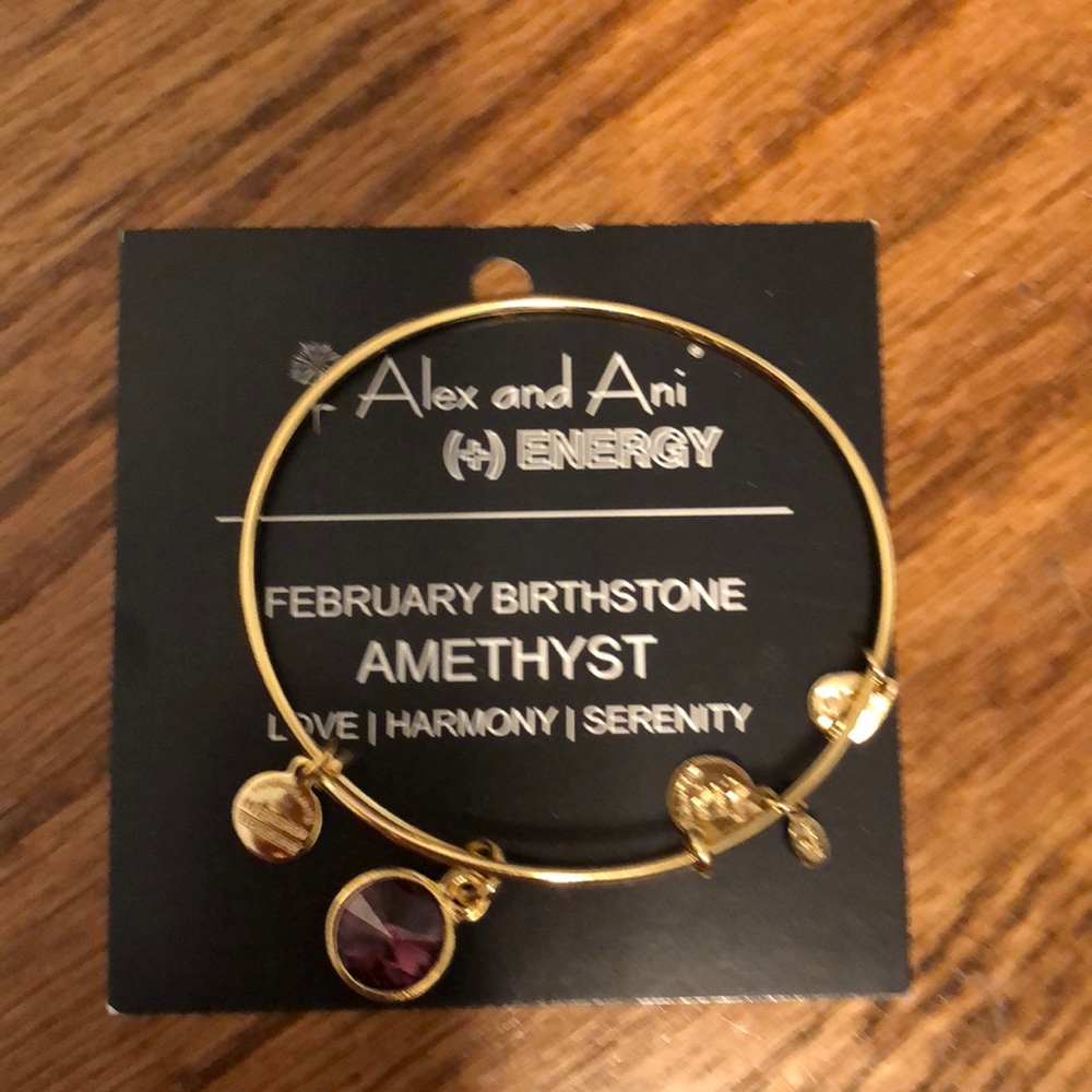 Alex and Ani Bracelet